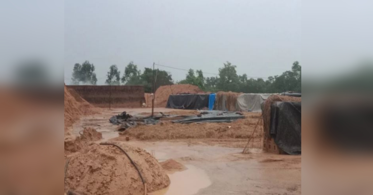 khanapur talukyat valiv pavsamule veet utpadkanche mothe nuksan