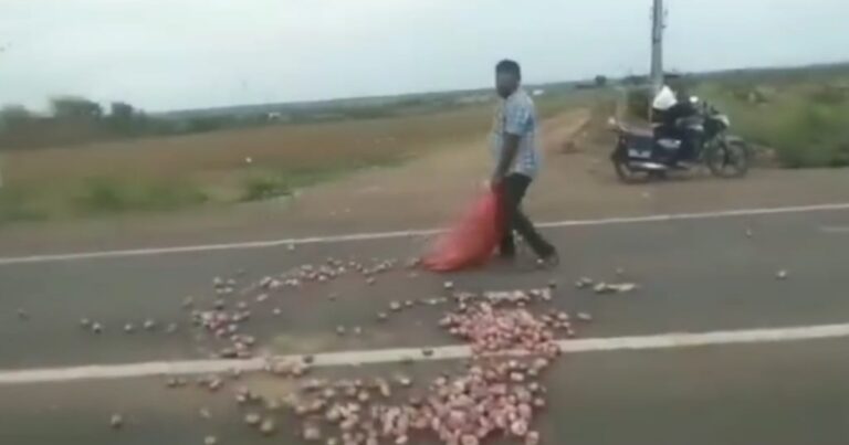onion prices fall ; farmers protest strongly by throwing onions on the national highway in vijaypur