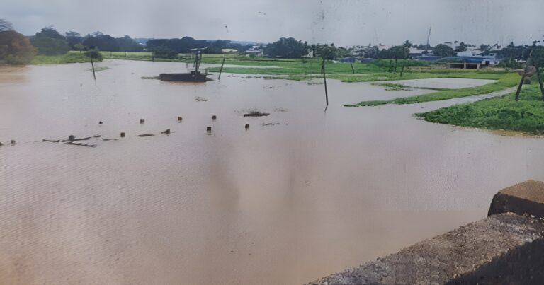 markandeya river near kangrali khurd floods for the third time