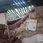 a wall of a house collapsed in tashildar galli due to continuous rains