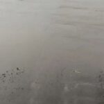 nipani parisraatil saha bandhare panyakhali