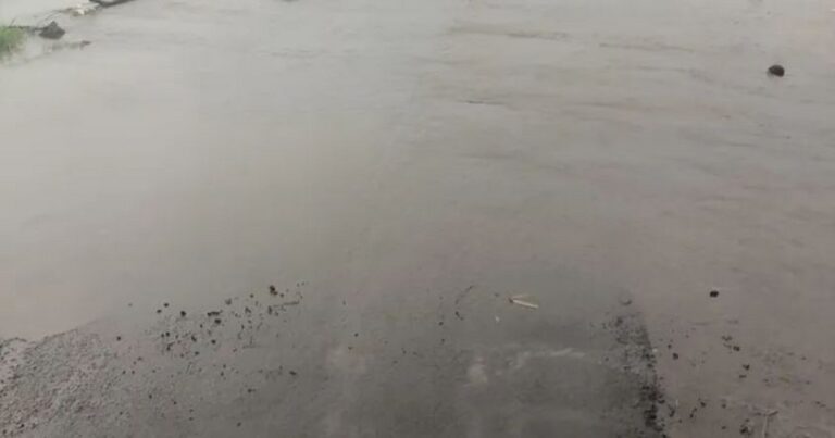 nipani parisraatil saha bandhare panyakhali