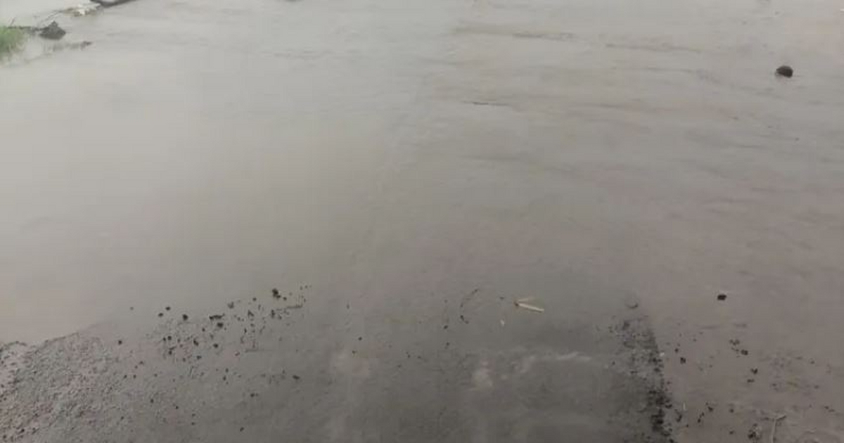 nipani parisraatil saha bandhare panyakhali