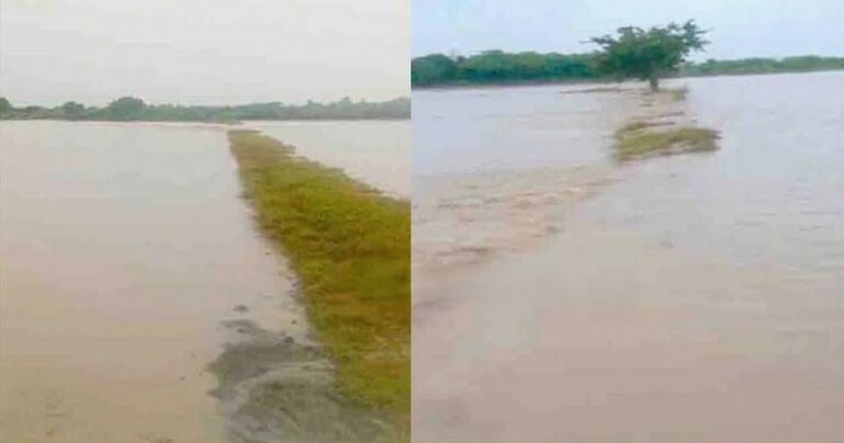 heavy rains cause major damage to crops in belgaum district