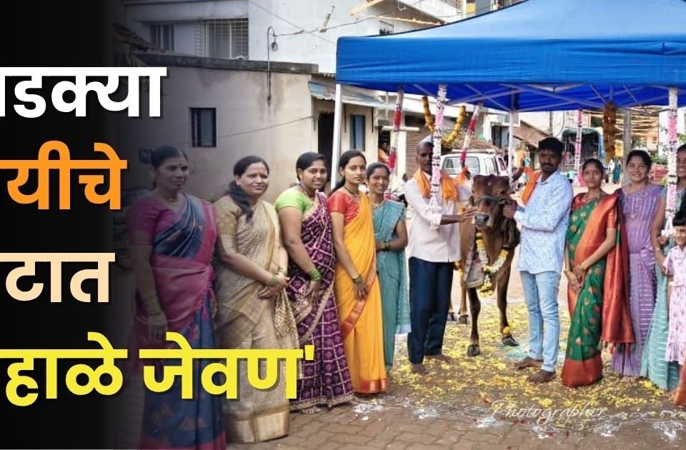 farmer family did baby shower of his beloved cow