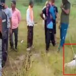malaprabha nadit budalelya yuvakacha mrutadeh sapadla