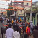 on the occasion of padwa buffalo racing ceremony celebrated
