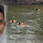 youth dies after drowning in malaprabha river