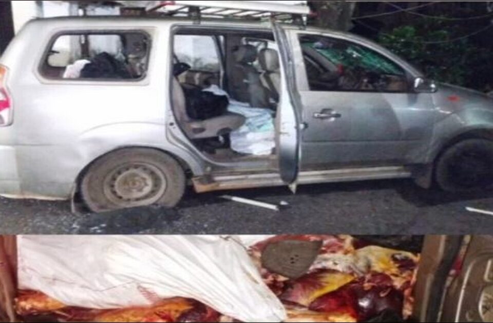 molem police seized xylo car loaded with illegal cow beef