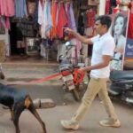 pangul gallit chortyancha dhumakul