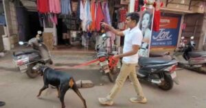 pangul gallit chortyancha dhumakul