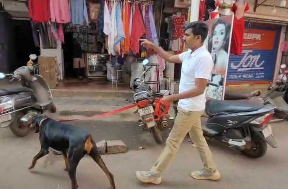 pangul gallit chortyancha dhumakul