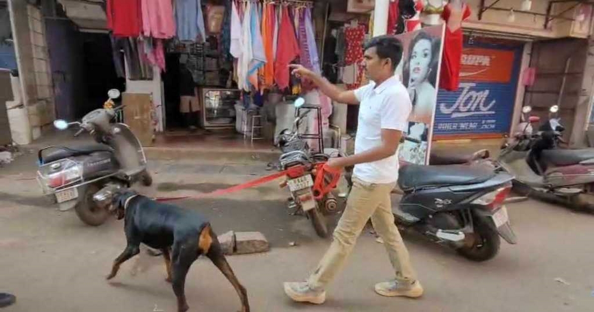 pangul gallit chortyancha dhumakul