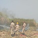 short circuit burns 50 acres of sugarcane in yedur