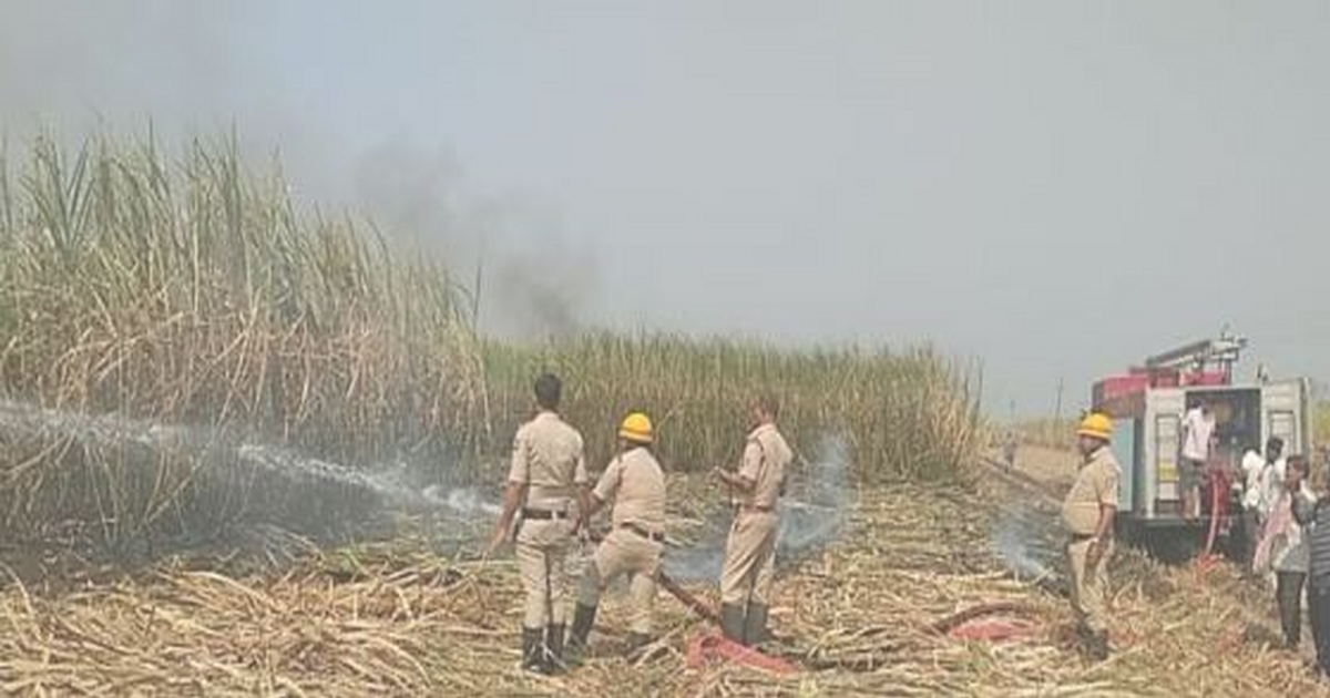 short circuit burns 50 acres of sugarcane in yedur