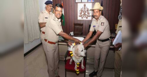 belgaum aditi police dog wins state level competition
