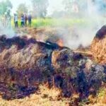 massive fire breaks out in fodder sheds at rajhansgad