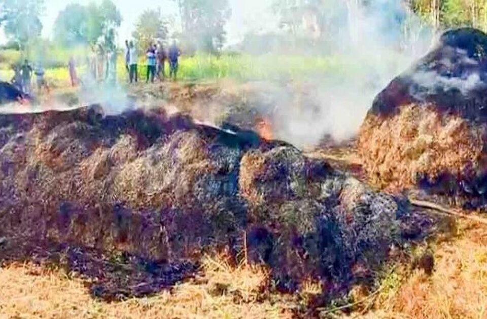 massive fire breaks out in fodder sheds at rajhansgad