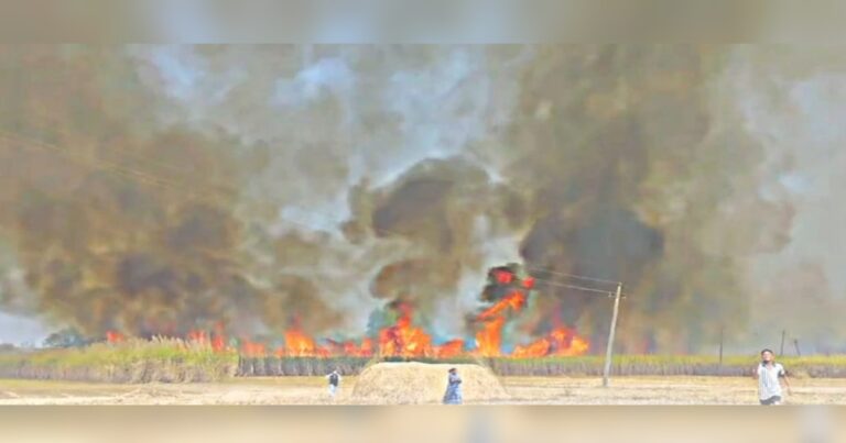 massive fire breaks out in sugarcane field in jalga