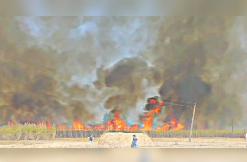 massive fire breaks out in sugarcane field in jalga