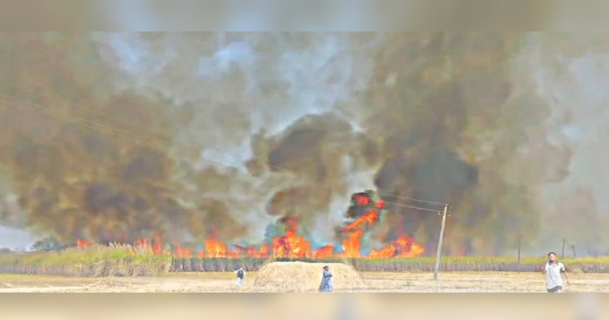 massive fire breaks out in sugarcane field in jalga