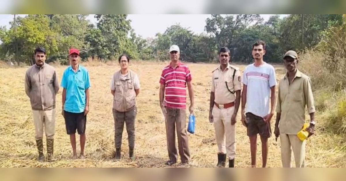 nandgad parisarat hattincha kalap dakhal