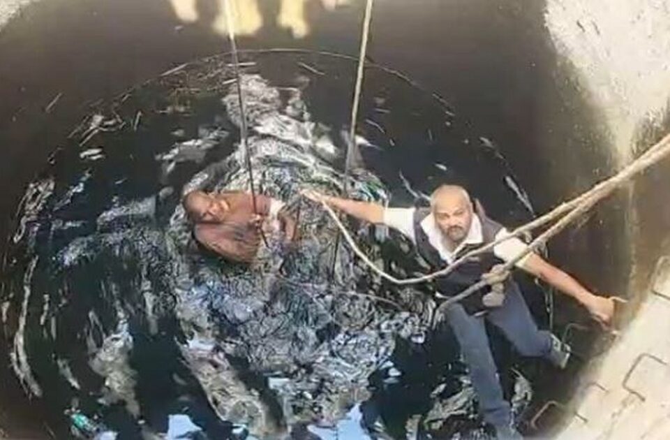 aichya virahane vihirit udi ghetlelya vyaktila herf teamkadun jivdan