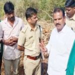 badal ankalagi yethil avaid vrukshatodprakarani dhananjay jadhav akramak