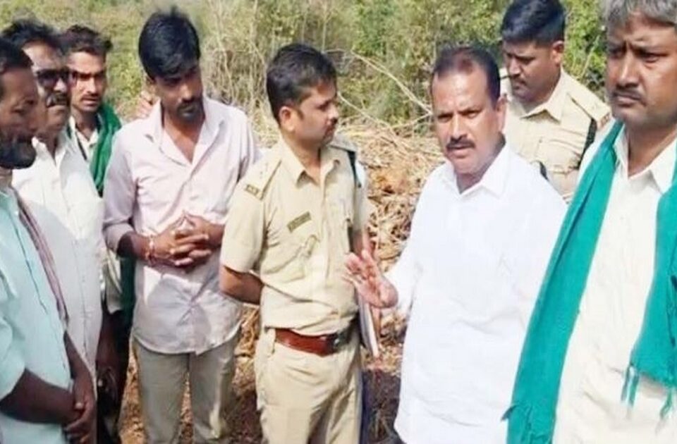 badal ankalagi yethil avaid vrukshatodprakarani dhananjay jadhav akramak