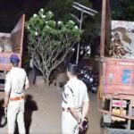 mahashivratri divshi belgavat bekayda mansvahatukicha prakar ughad