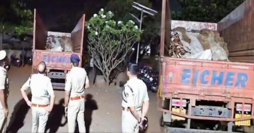 mahashivratri divshi belgavat bekayda mansvahatukicha prakar ughad