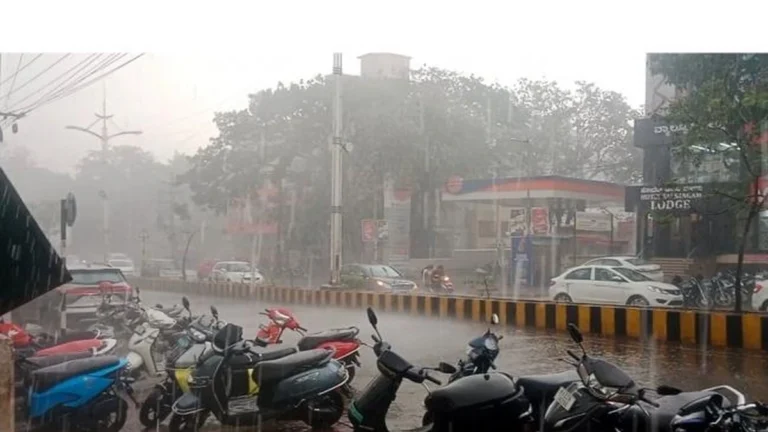 belgavaat valiv pavasacha jordar tadakha