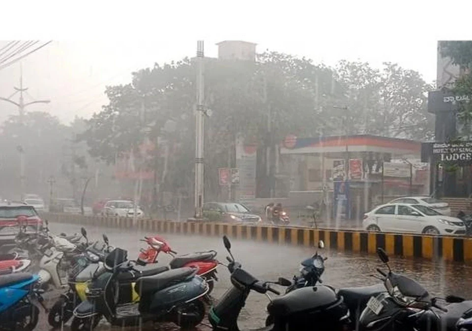 belgavaat valiv pavasacha jordar tadakha