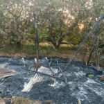 chalvenhattit zhopdila aag