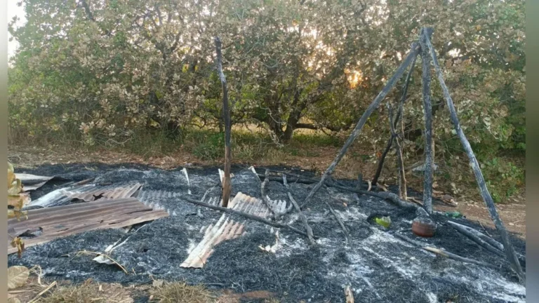 chalvenhattit zhopdila aag