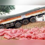 hirebagewadi najik rashtriya mahamargavar don truckcha bhishan apghat