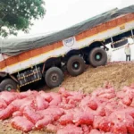 hirebagewadi najik rashtriya mahamargavar don truckcha bhishan apghat