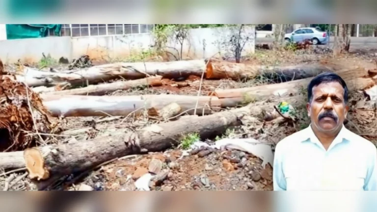 kumaraswamy layoutmadhe bekayda vrukshatodicha prakar