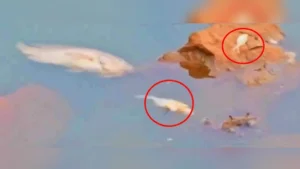 killa talavatil hazaro mase mrutyumukhi