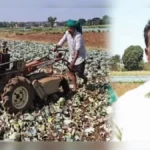 kobichya darat ghat ; shetkaryane swatahchya shetatil kobi pikavar firavla tractor