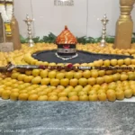 shivjayanti ani akshay tritiyanimitt kapileshwar mandirat hapus ambyanchi aakarshak aras