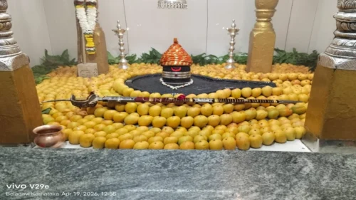 shivjayanti ani akshay tritiyanimitt kapileshwar mandirat hapus ambyanchi aakarshak aras