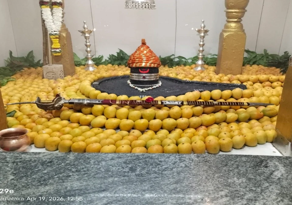 shivjayanti ani akshay tritiyanimitt kapileshwar mandirat hapus ambyanchi aakarshak aras