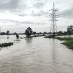 ballari nalyachya duravasthene 600 ekar supik sheti dhokyat