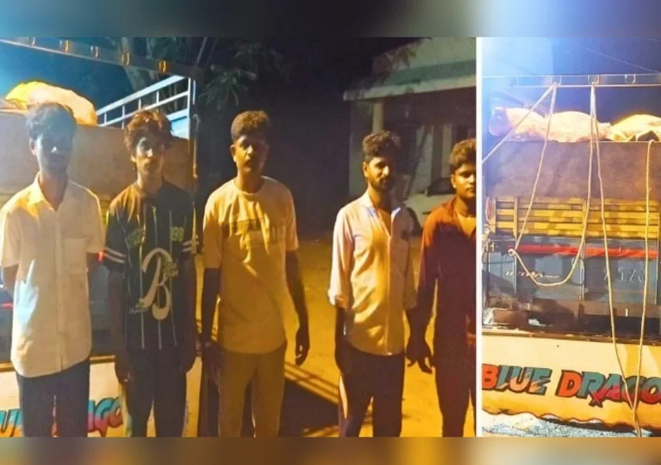 hukkerit avaidha mans vahatukicha prakar ughadkis
