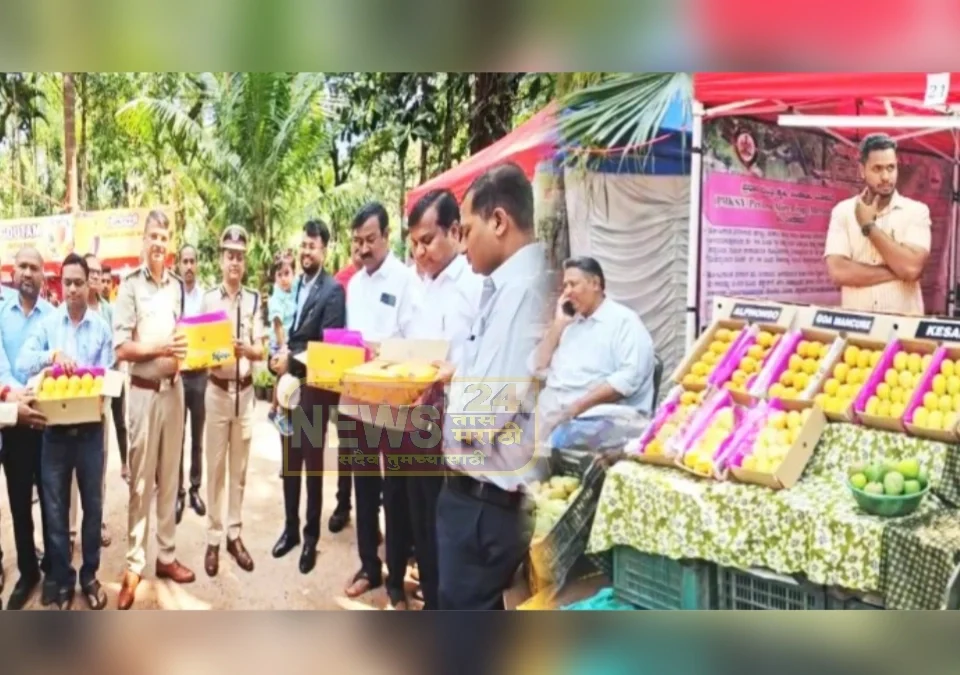 hume park yethe aamba mahotsavala prarambh