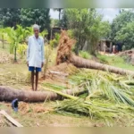 khanapuratil varkade patye bhagat jangli hattincha dhumakul