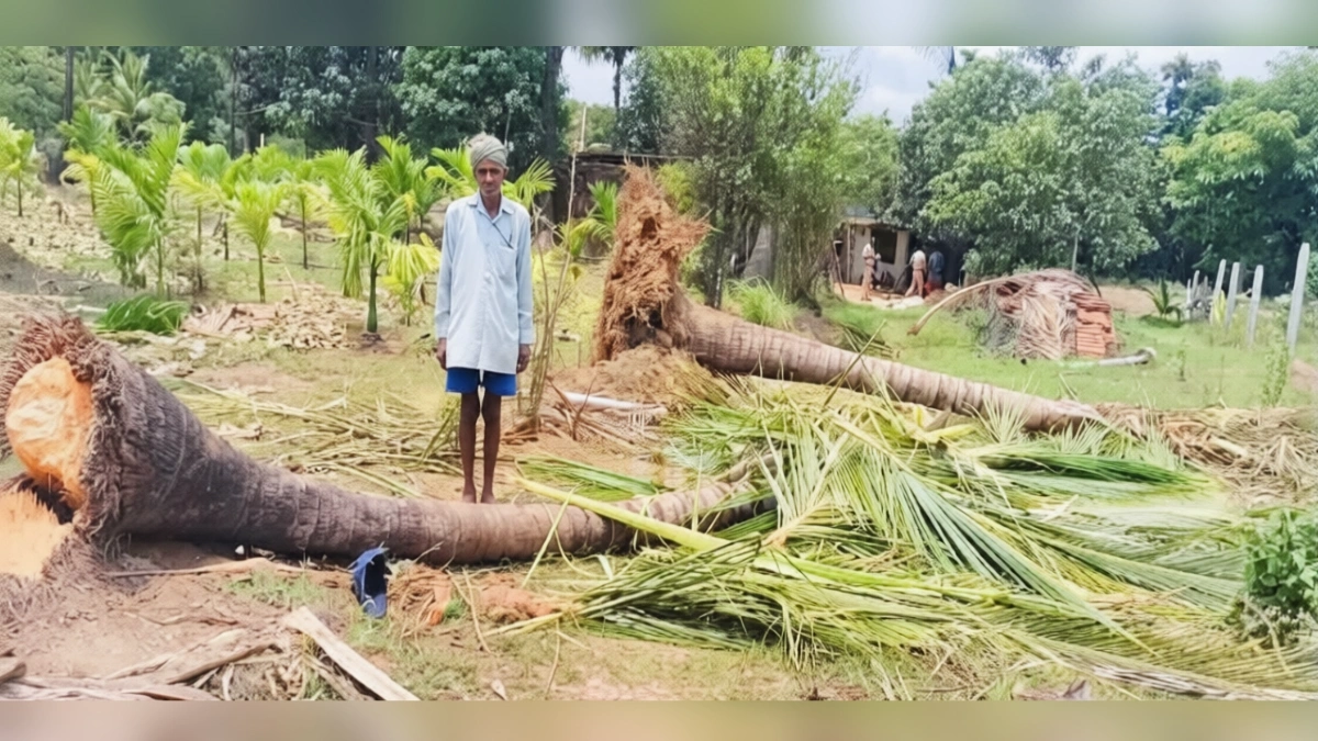 khanapuratil varkade patye bhagat jangli hattincha dhumakul