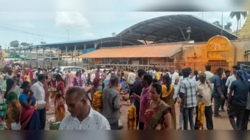 adhik masat soundatti renuka devi darshanasathi bhavikanchi gardi
