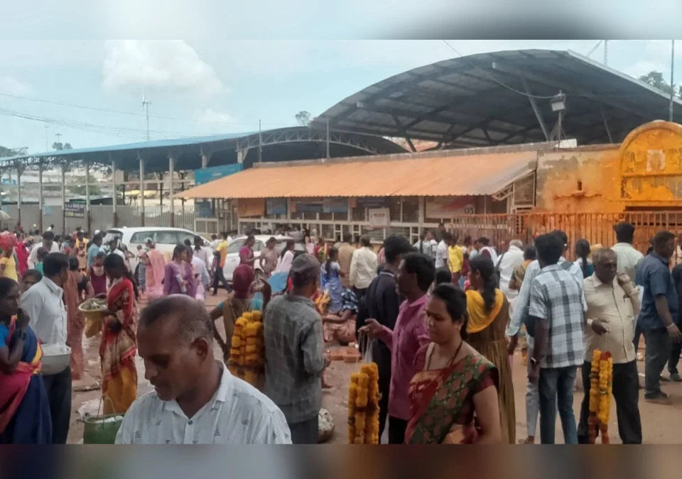 adhik masat soundatti renuka devi darshanasathi bhavikanchi gardi